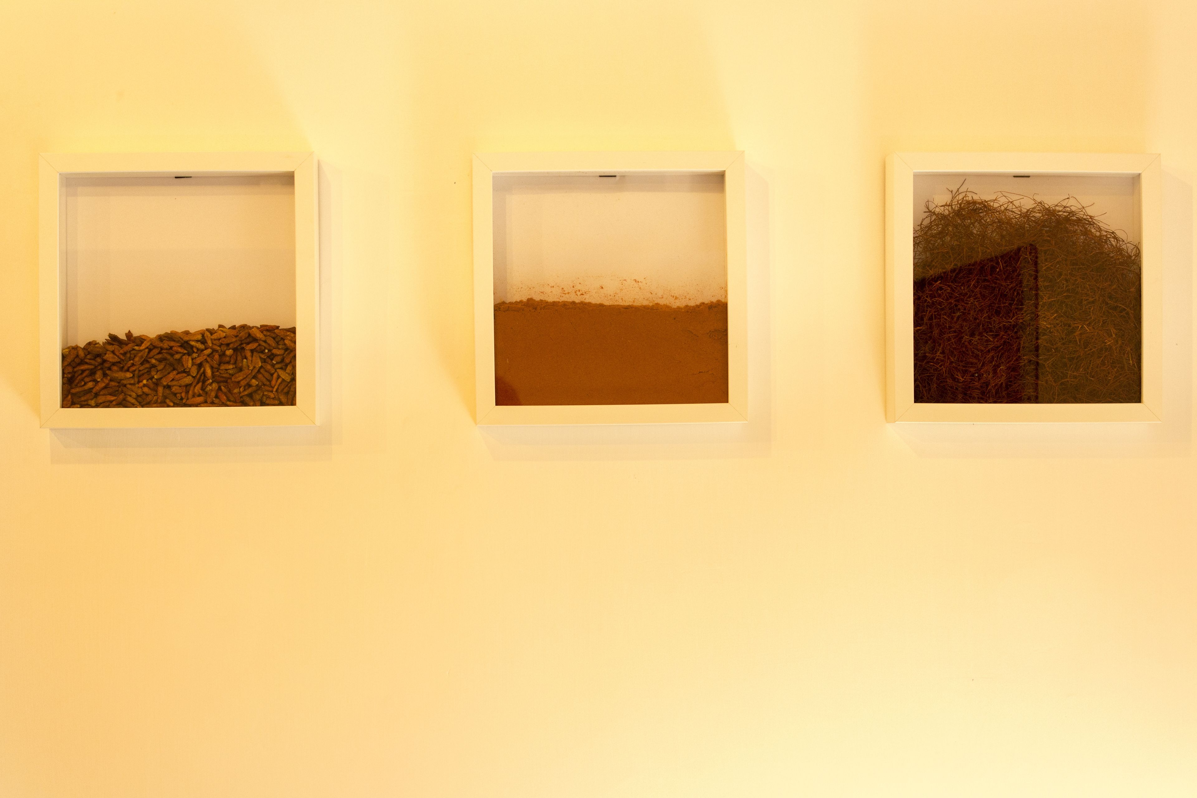 Three framed artworks on a wall.
