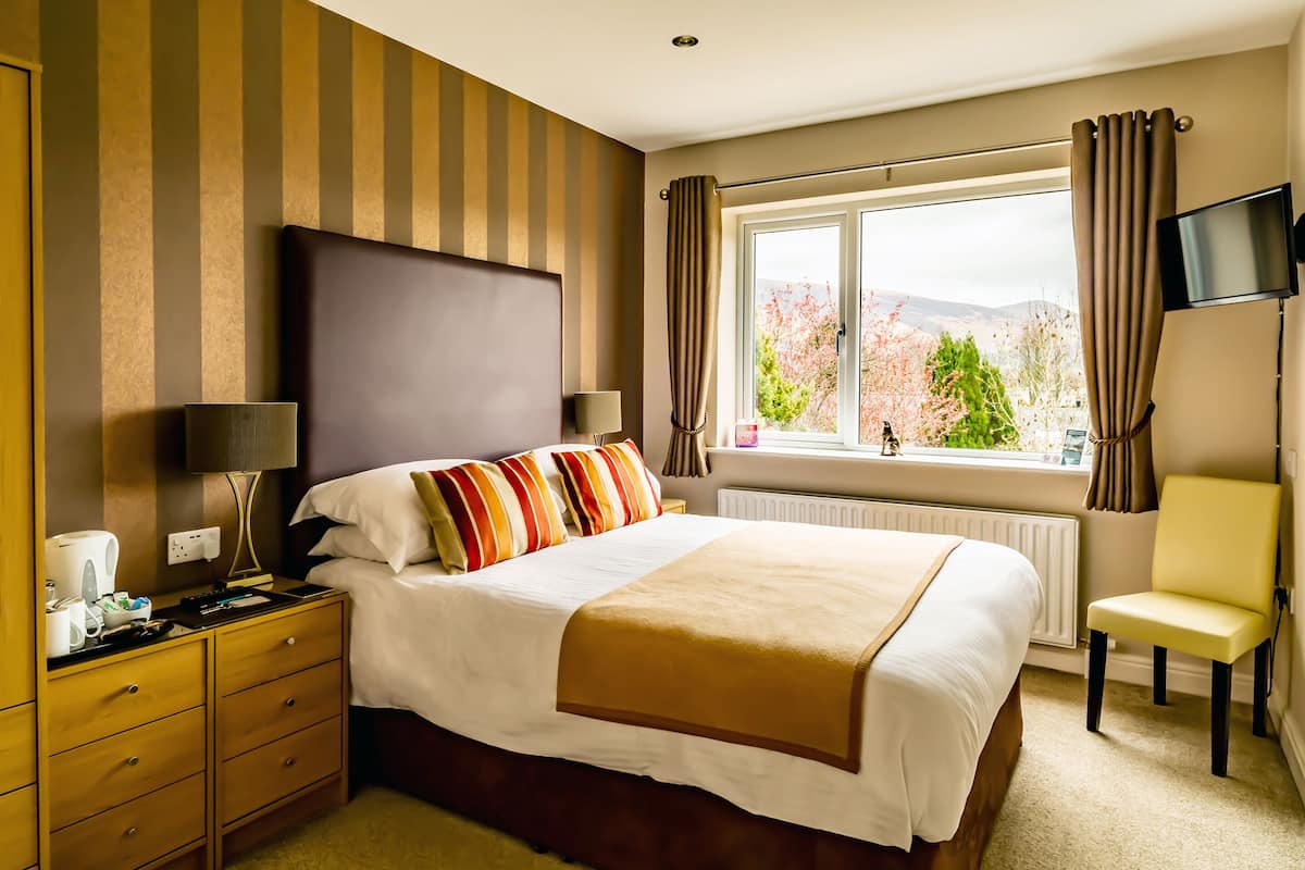 A hotel room with a large bed, a bedside table with lamps, a chair, a TV, and a window with curtains.
