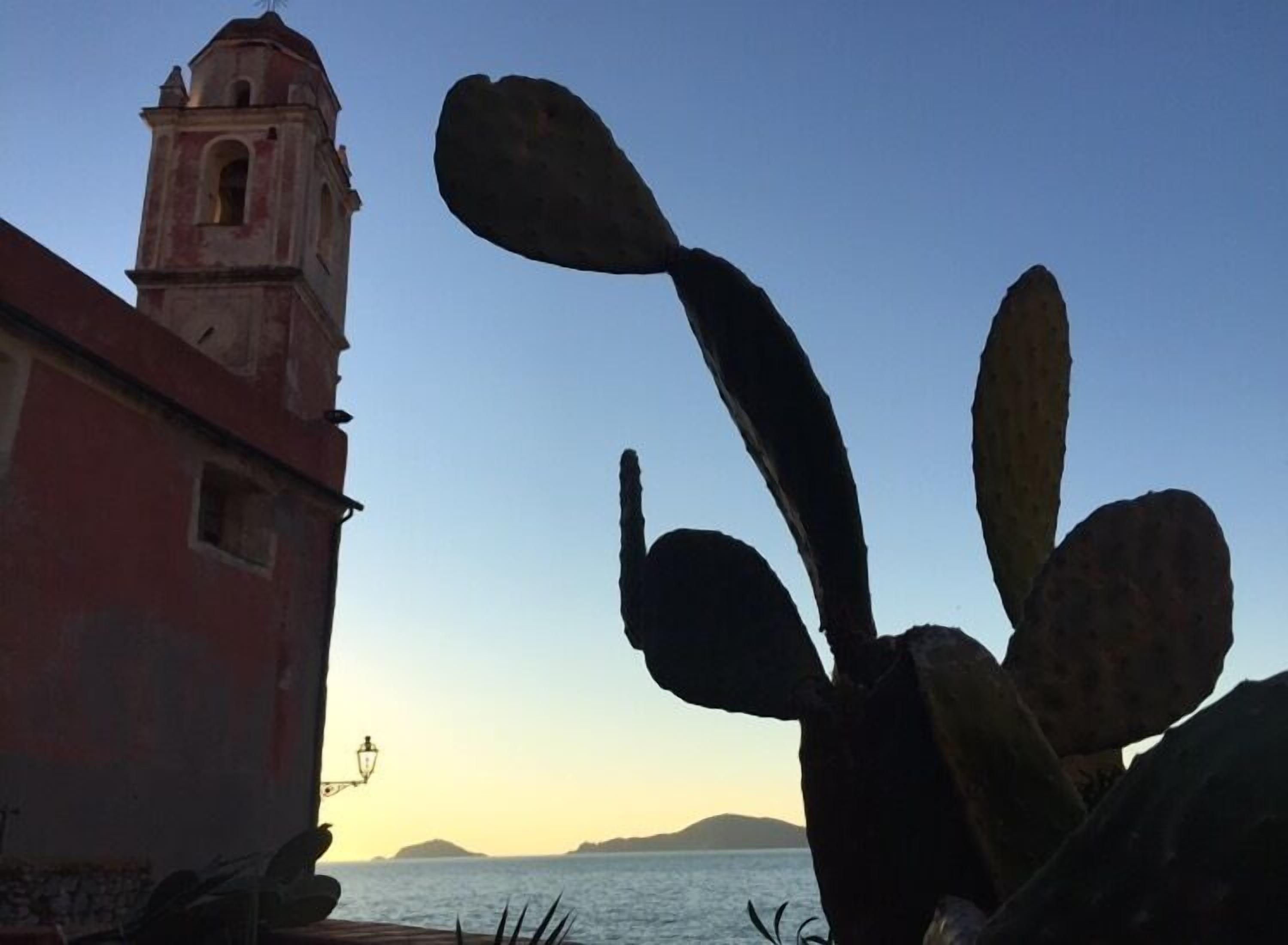 Un edificio costiero con un campanile, un cactus in primo piano e un lampione.