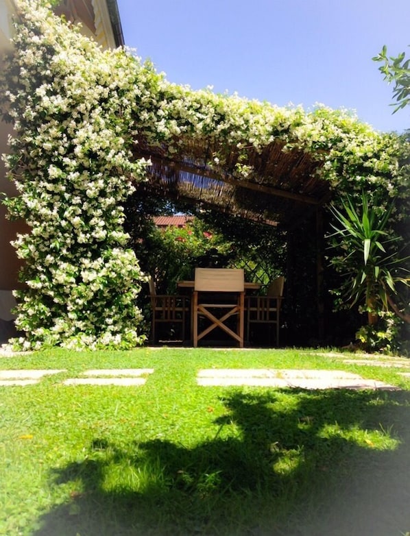 A garden with a pergola covered in flowering vines, a wooden table, and a chair under the structure.