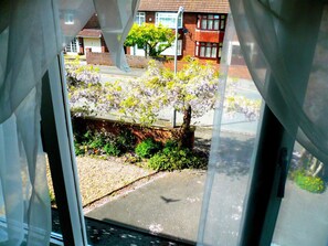 Visão pela janela com cortinas, mostrando uma rua com casas, uma árvore e um pássaro no chão.