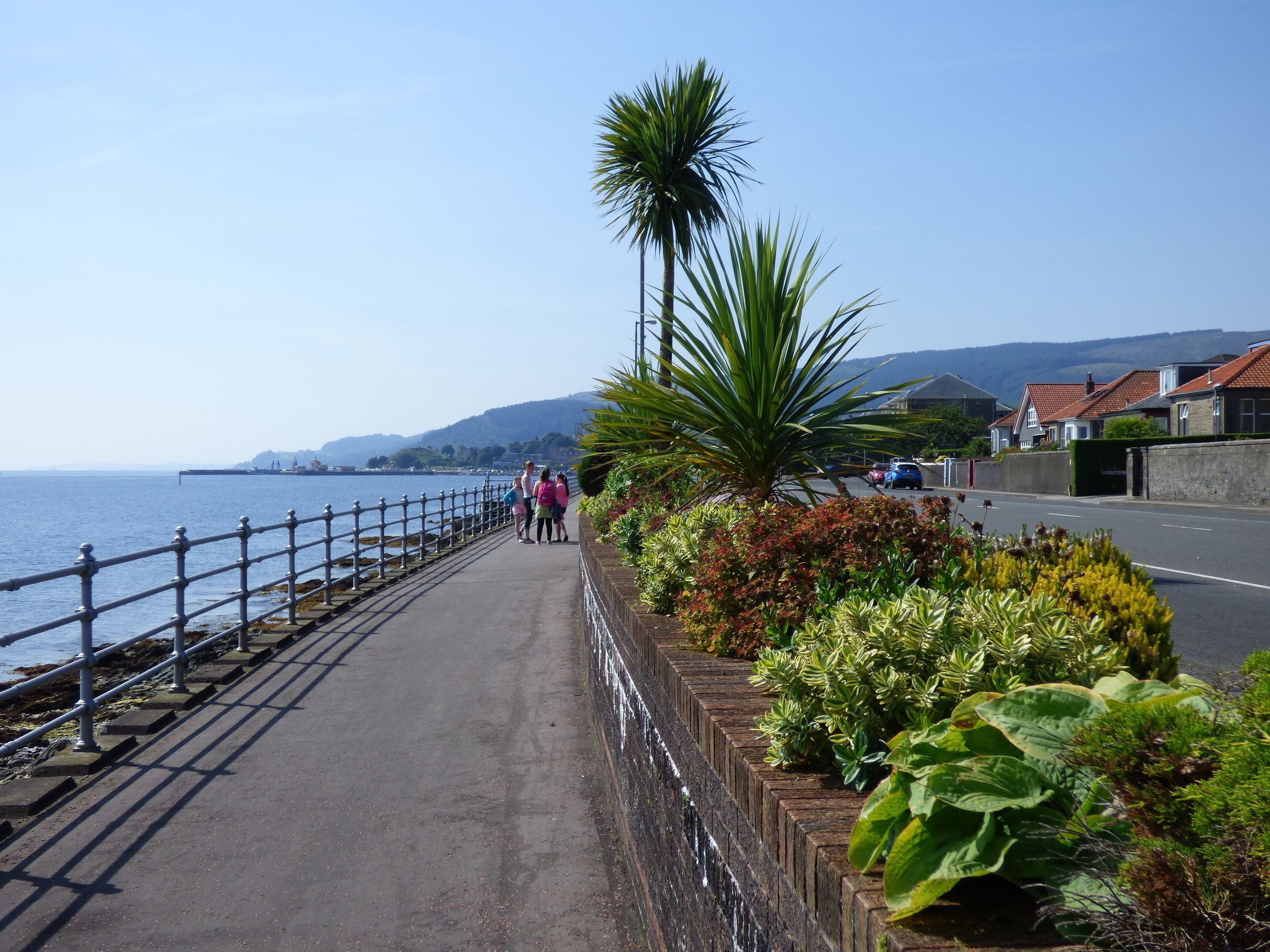 A coastal walkway with a metal railing, a palm tree, and a row of houses in the background.