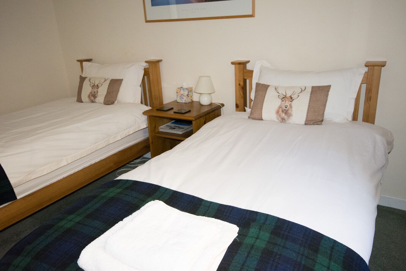 A hotel room with two single beds, a nightstand with a lamp, and a blanket on the floor.