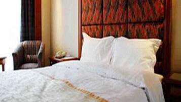 Minibar, in-room safe, internet, wheelchair access