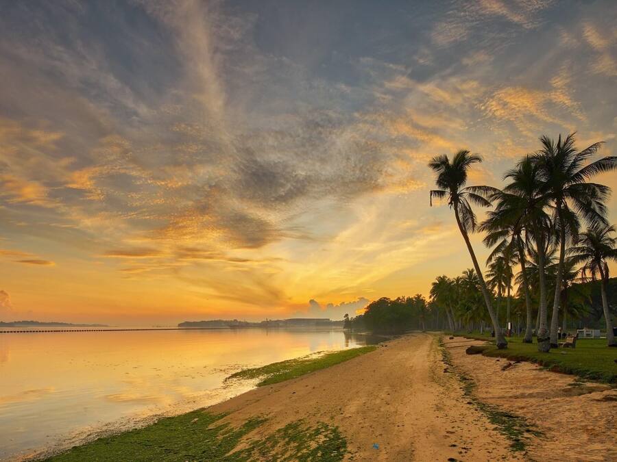 Una playa con palmeras y un mar tranquilo al atardecer.