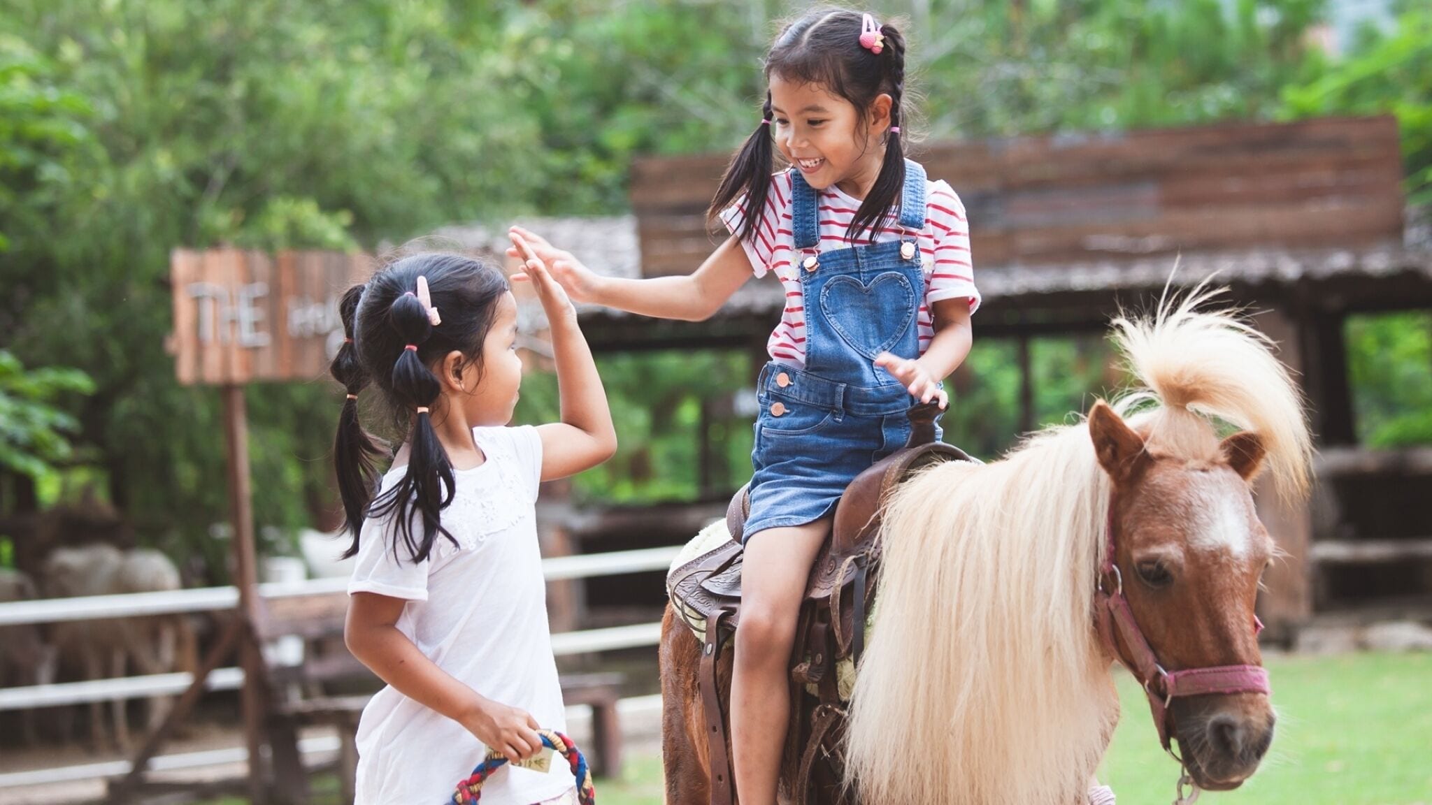 Photo - D'Resort @ Downtown East