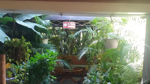 View from property - Hotel Mountain View (Puerto Plata)