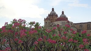 Unclassified image, 5 of 20, button - Hospedería La Reja (Oaxaca)
