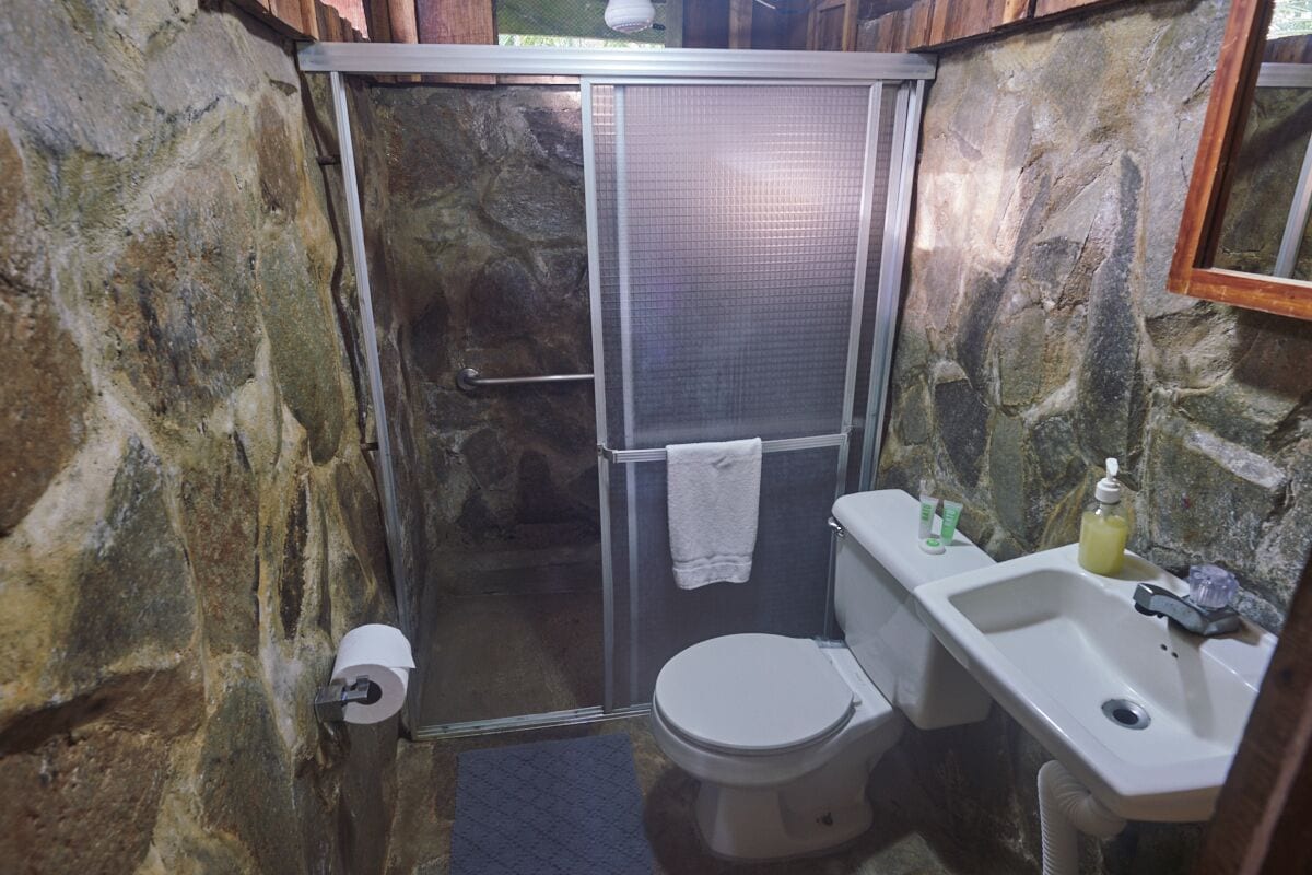 Un baño con pared de piedra, ducha envuelta en vidrio, inodoro y lavabo con artículos de aseo.