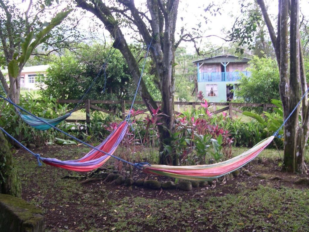 Una hamaca atada entre árboles en un jardín con una casa al fondo.