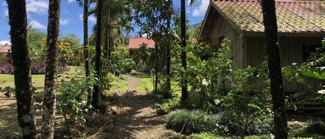 A rustic wooden building with a tiled roof, surrounded by lush greenery and a dirt path.