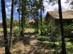 Exterior - Santa Maria Volcano Lodge (Guayabo)