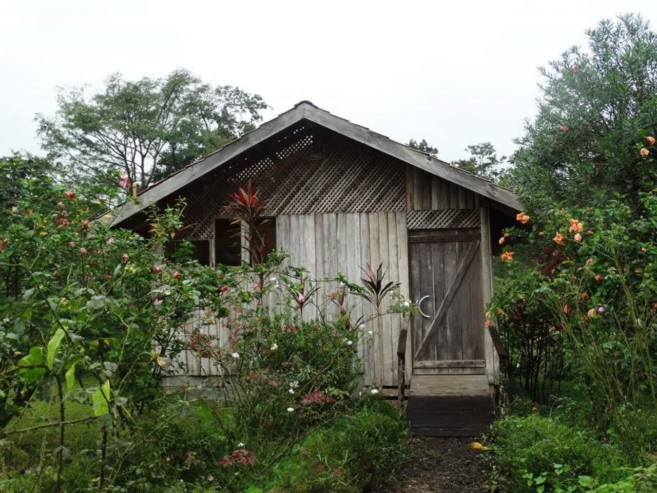 Eksteriør
