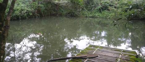 Khuôn viên nơi lưu trú