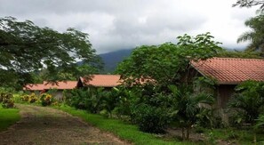 Property grounds - Santa Maria Volcano Lodge (Guayabo)