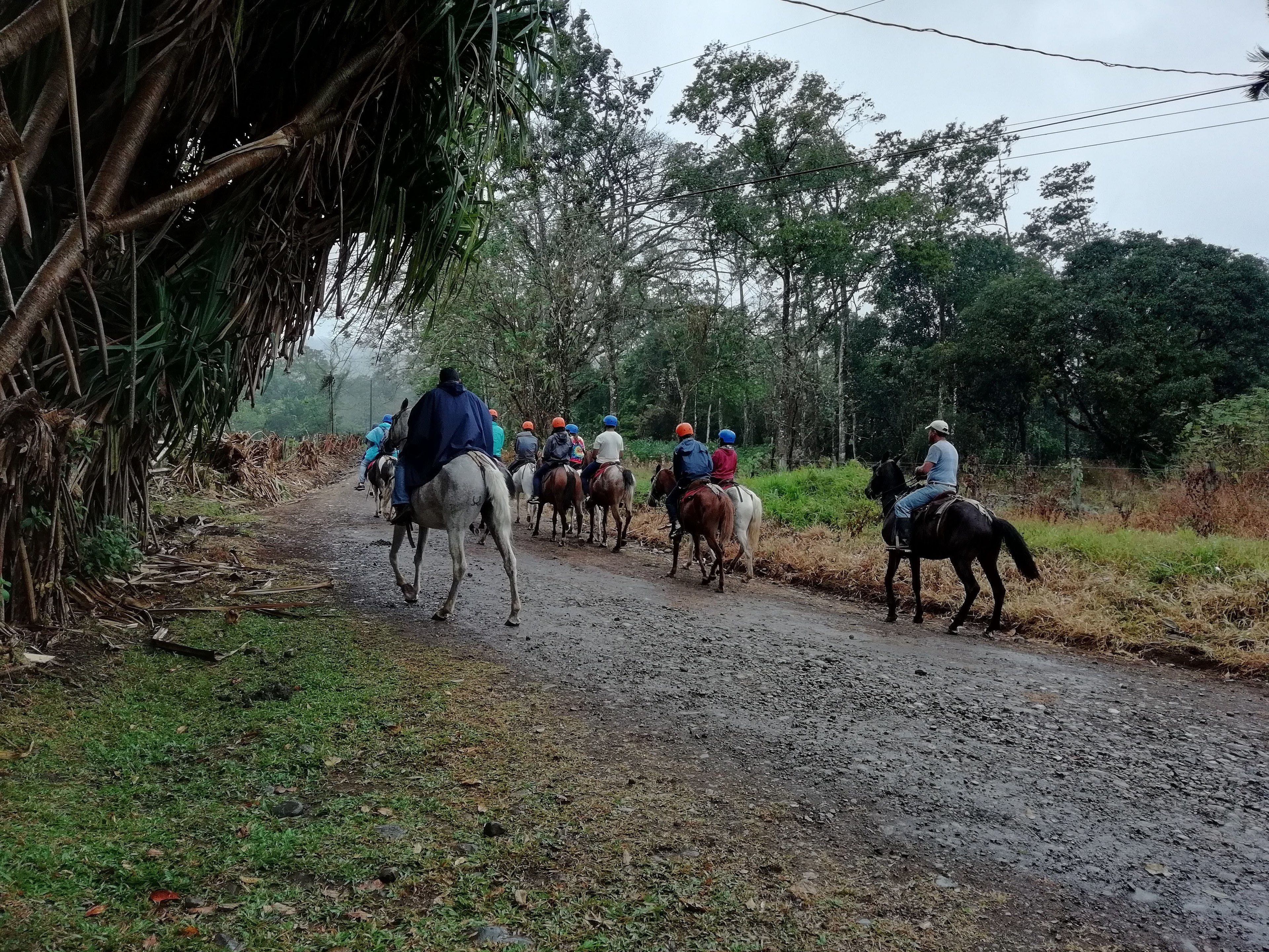 A group of people riding horses on a rural dirt road surrounded by trees and vegetation.
