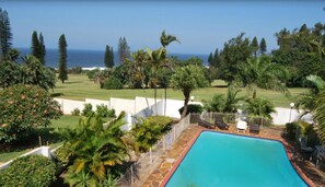 A swimming pool with a view of the ocean, surrounded by palm trees and a well-maintained lawn.
