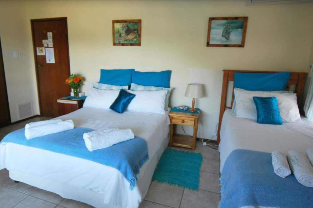 Une chambre d’hôtel avec deux lits, chacun agrémenté de draps bleus et blancs, une petite table de chevet avec une lampe et un tapis vert.