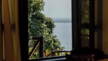 Standard Room, 1 King Bed, Partial Lake View, Garden Area | View from room