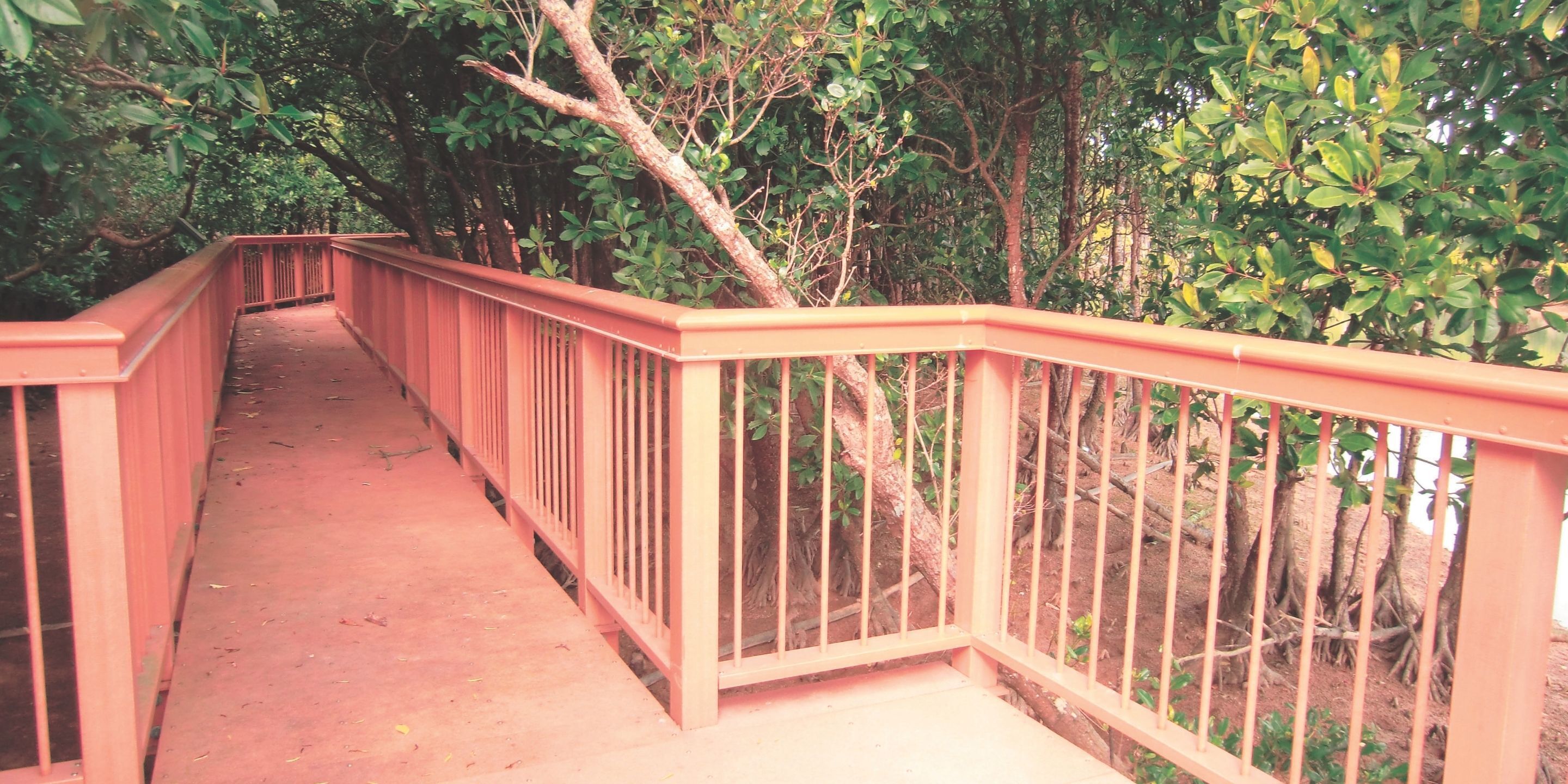 Un pont en bois doté de garde-corps, entouré d’une végétation luxuriante.