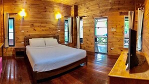 Habitación con paneles de madera, una cama, un televisor y una ventana.
