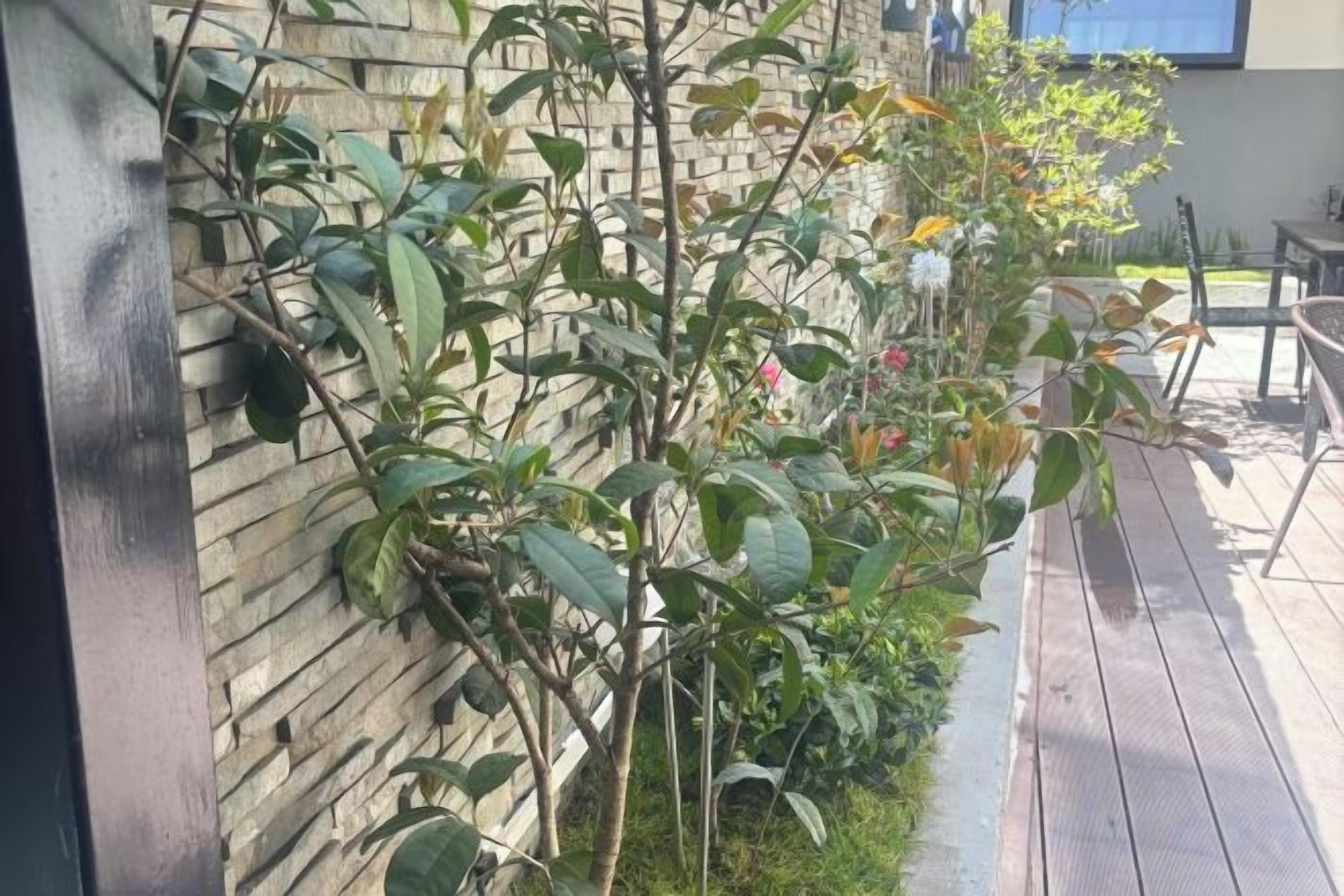 Una terrassa de fusta amb una paret de pedra, mobles d'exterior i un arbre petit.