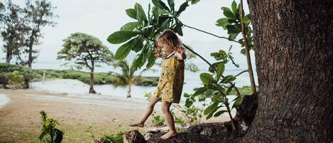 A child standing on a tree stump near a beach with trees and water in the background.