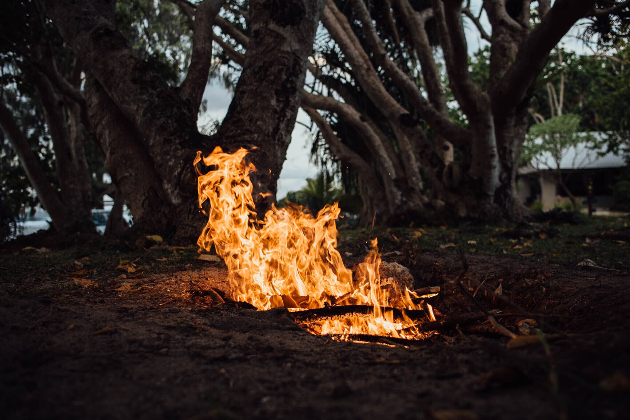 A campfire surrounded by trees.
