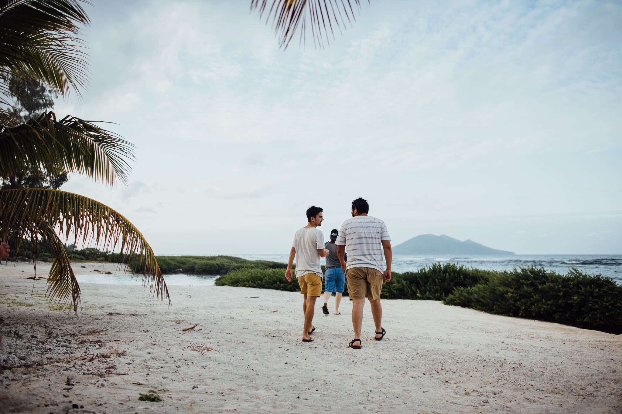 A sandy beach with palm trees and a view of the ocean.