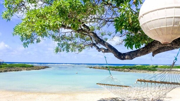 A hammock under a tree by a beach with clear water and a view of the ocean.