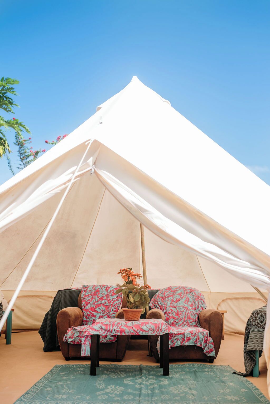 A tent with a sofa and a table inside, a potted plant on the table, and a green mat on the floor.