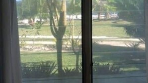 A room with a large window overlooking a grassy area with trees and a clear sky.