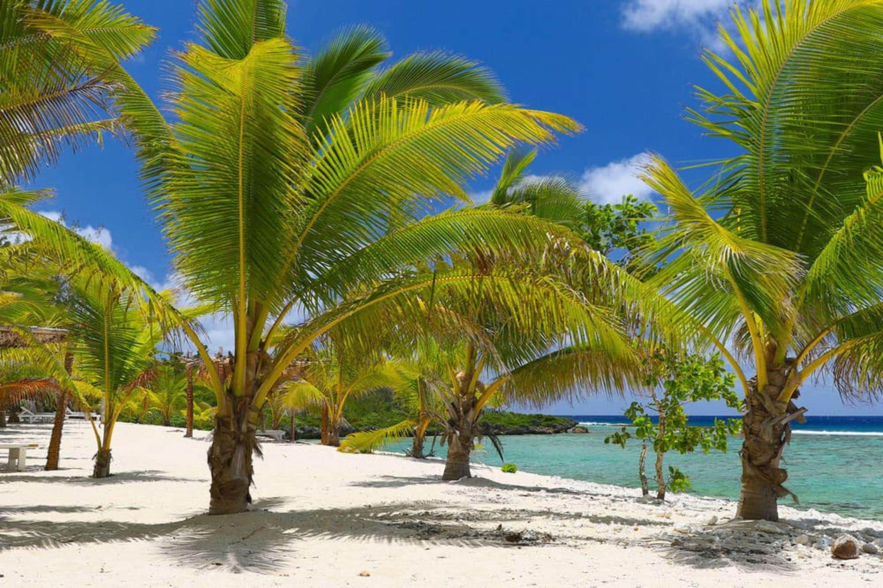 Private beach, white sand, free beach cabanas, snorkelling