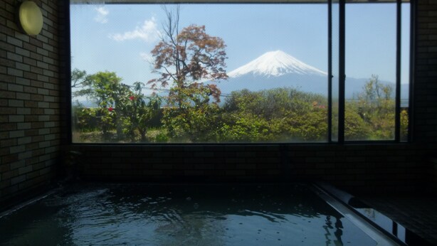 A room with a large window overlooking a mountain and a garden.