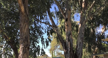 Junee Tourist Park