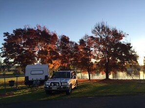 Lake - Junee Tourist Park (Junee)