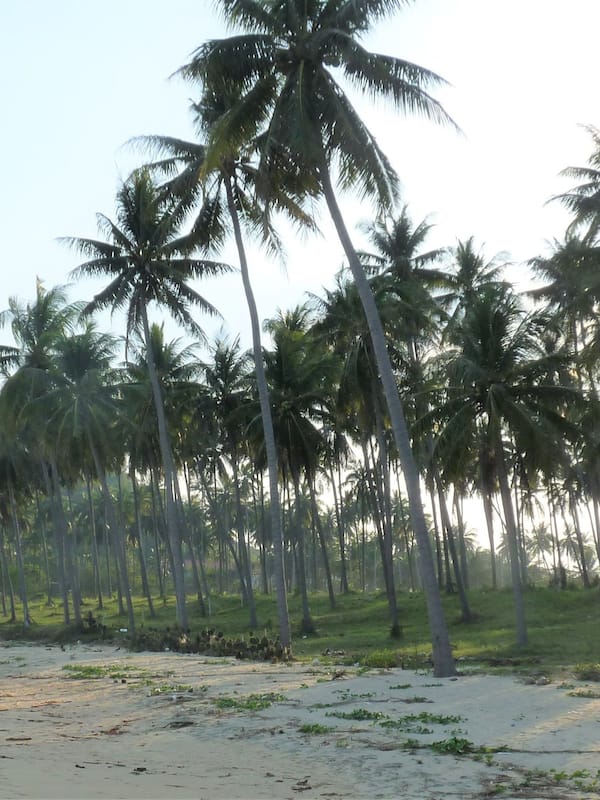 Private beach, free beach cabanas, beach towels