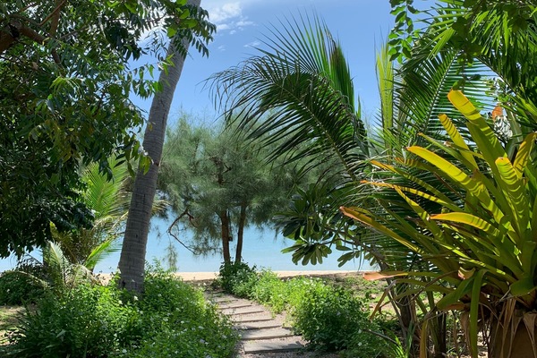 Garden view
