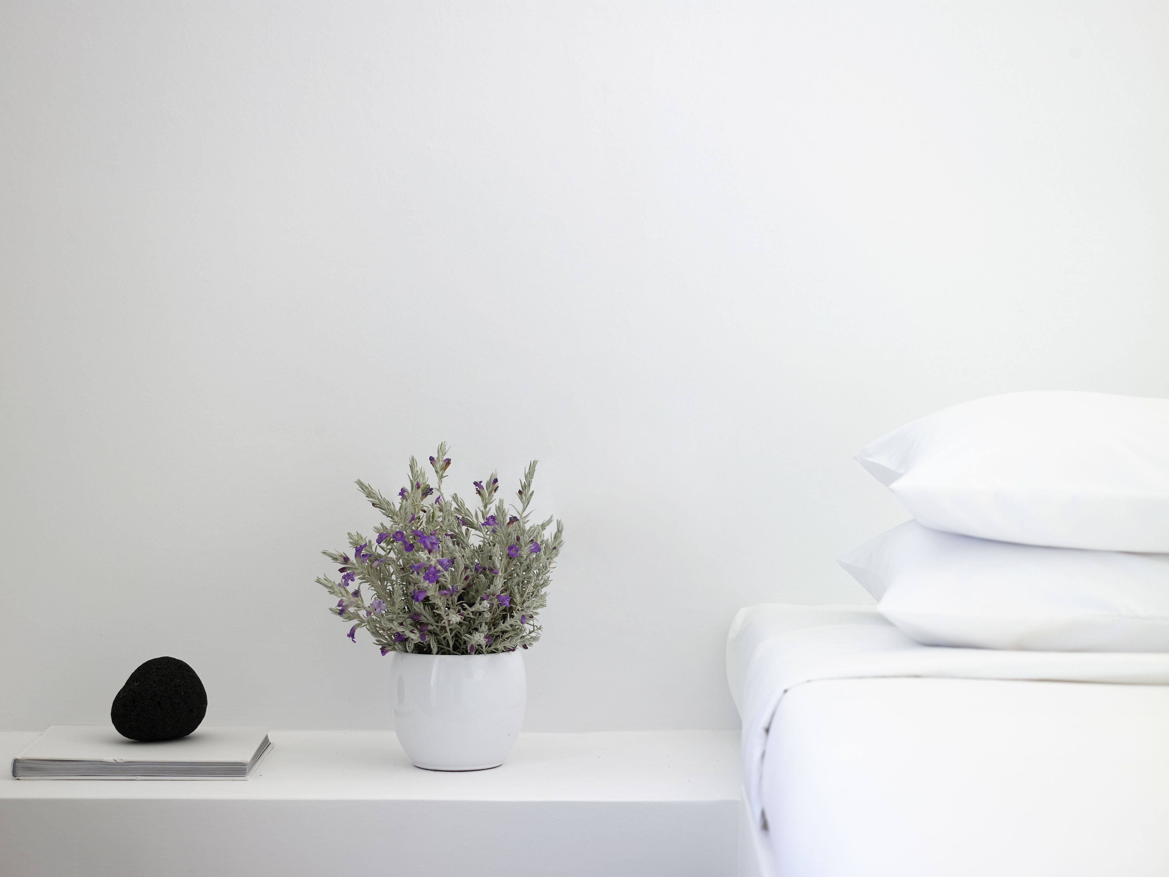 A minimalist room with a white bed, a white nightstand, a white potted plant with purple flowers, and a black object on the nightstand.