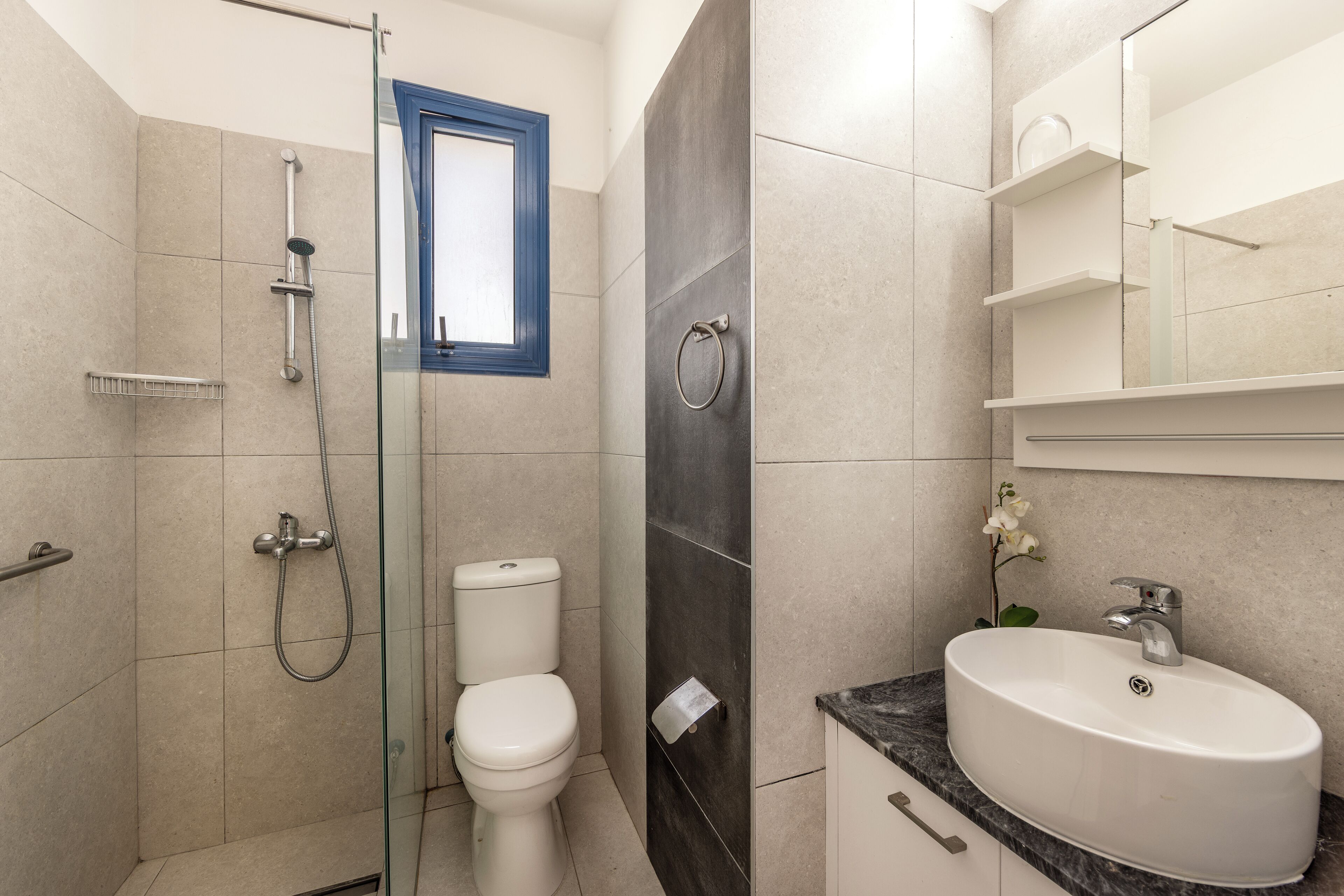 A modern bathroom with a shower, toilet, sink, and a mirror.