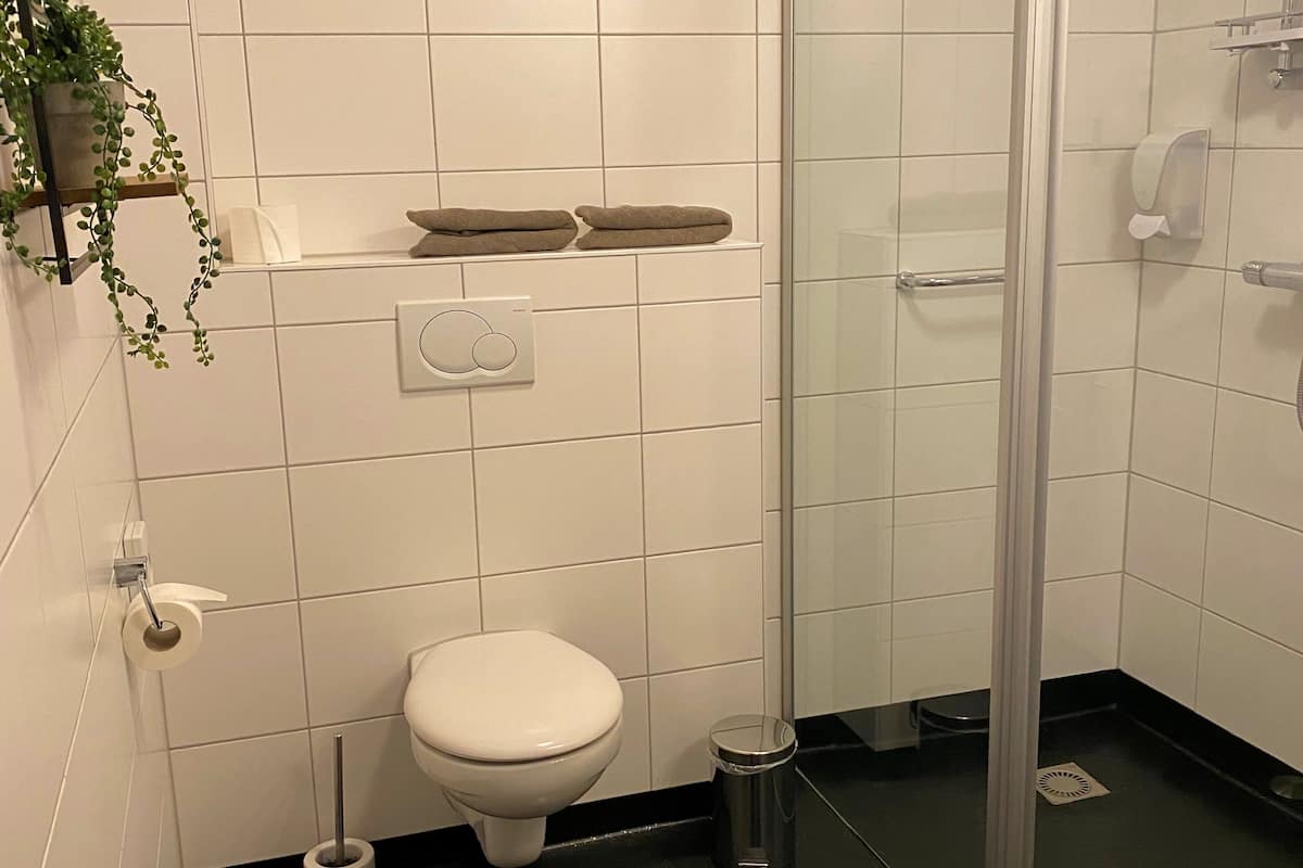 shower, free toiletries, hair dryer, towels