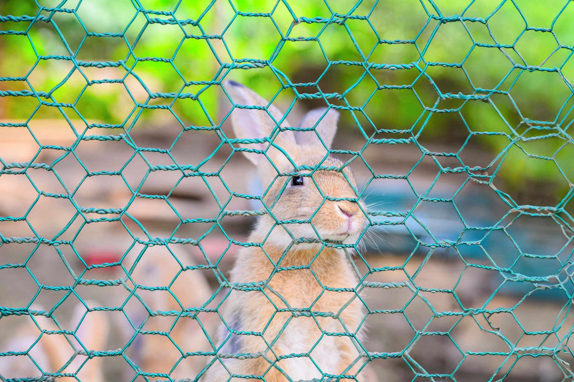 children’s activities