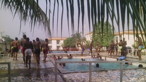 Zona de piscinas con varios cuerpos de agua, rodeada de palmeras y un edificio al fondo.