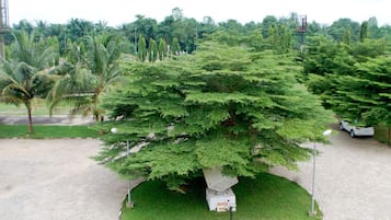 花園