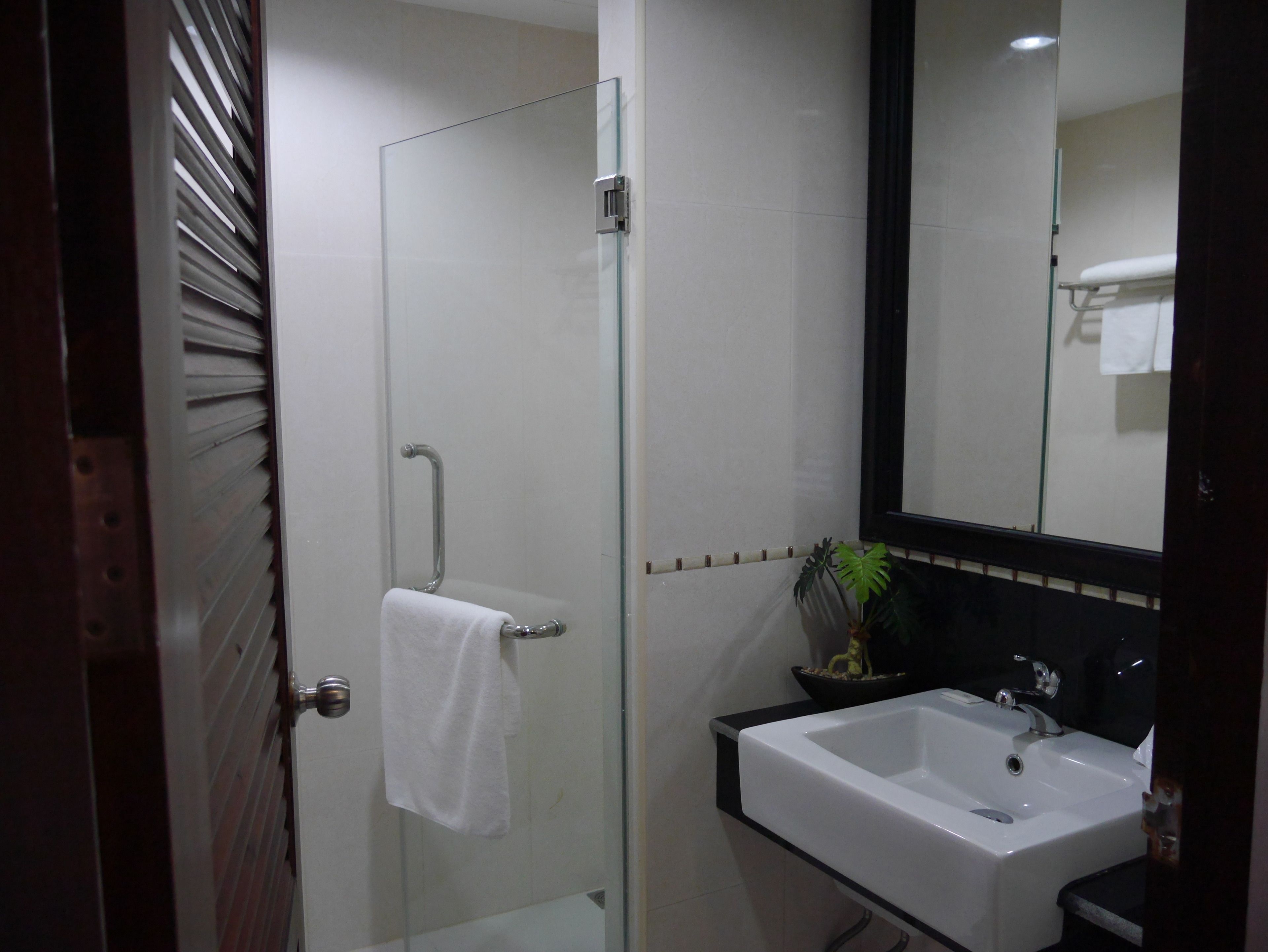 A bathroom with a glass shower door, a white sink, a mirror, and a potted plant.