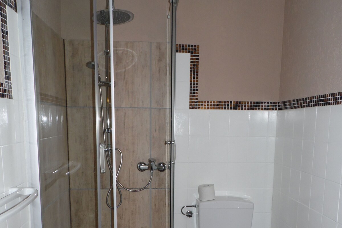 Standard-Doppelzimmer zur Einzelnutzung, 1 Schlafzimmer | Badezimmer | Dusche, kostenlose Toilettenartikel, Haartrockner, Handtücher