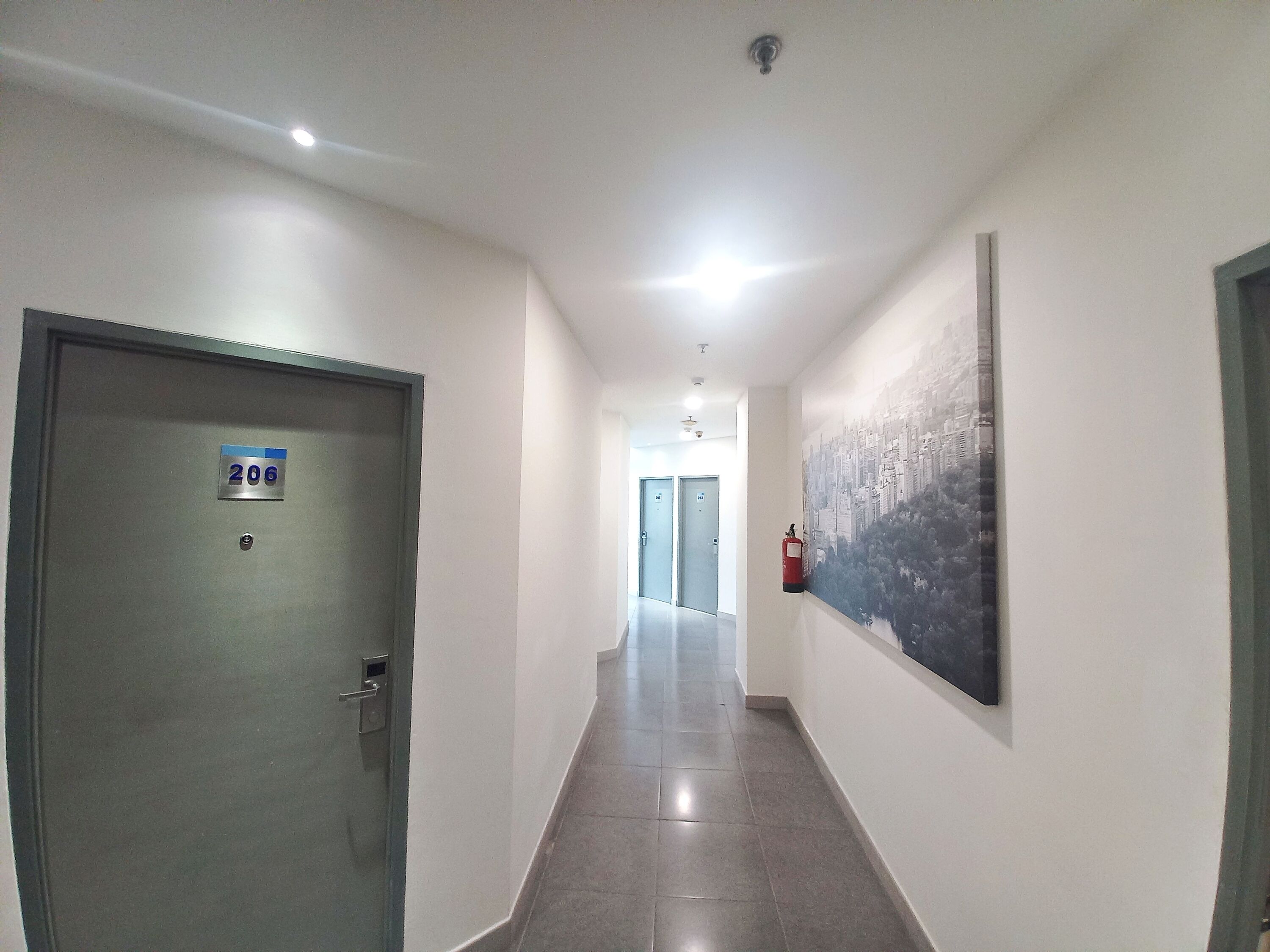 Un pasillo con una puerta identificada con el número 206, un extintor de incendios en la pared y un cuadro con una vista urbana.