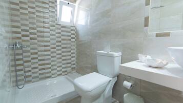 Shower, hair dryer