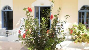 DĂ©tail de lâextĂ©rieur