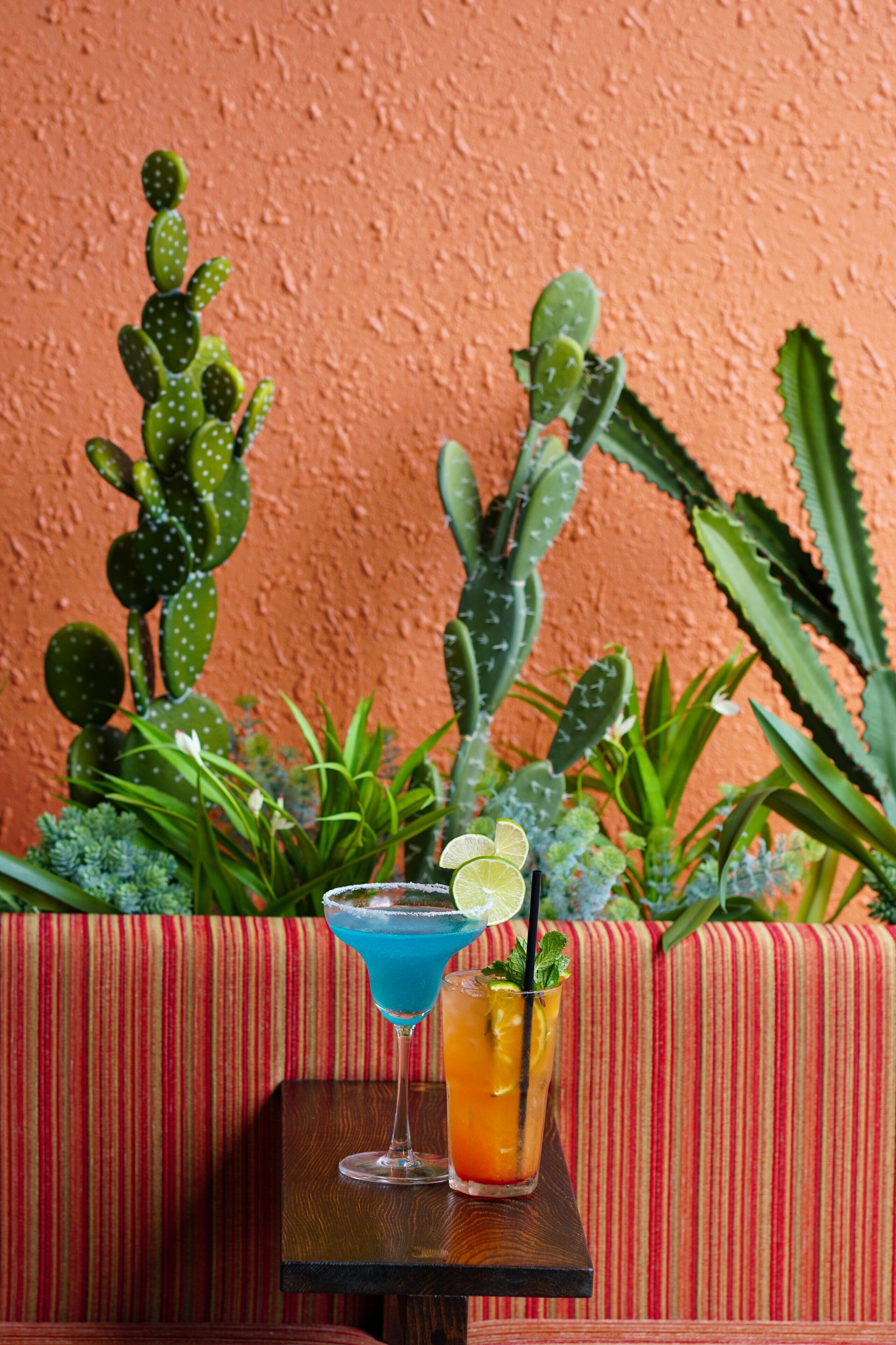 A table with two drinks, a striped red couch, and cacti in the background.